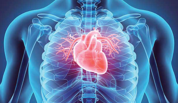 Cardiology Welcome Image